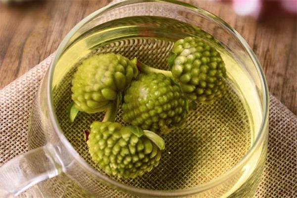 孕妇能喝绿萝花茶吗 月经期能喝绿萝花茶吗 孕妇能喝绿萝花茶吗 月经期能喝绿萝花茶吗