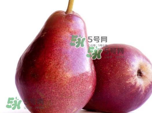 啤梨是放软了吃吗?啤梨的功效与作用 啤梨是放软了吃吗?啤梨的功效与作用