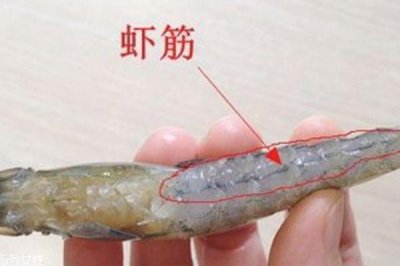 ​基围虾有几条虾线 虾有两条虾线吗