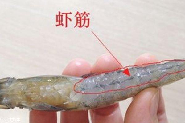 基围虾有几条虾线 虾有两条虾线吗 基围虾有几条虾线 虾有两条虾线吗