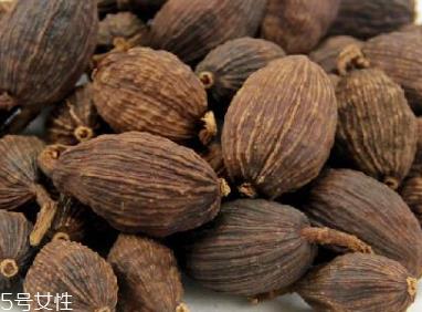 草果和肉蔻的区别 作用不同 草果和肉蔻的区别 作用不同