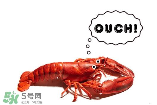 波士顿龙虾有什么简单好吃的做法?波士顿龙虾要怎么杀 波士顿龙虾有什么简单好吃的做法?波士顿龙虾要怎么杀