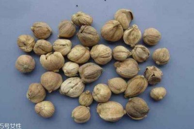 ​吃白豆蔻有什么作用吗 白豆蔻有什么食用禁忌吗