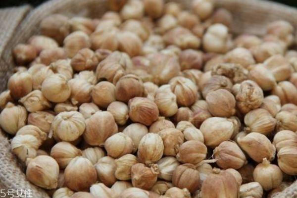 吃白豆蔻有什么作用吗 白豆蔻有什么食用禁忌吗 吃白豆蔻有什么作用吗 白豆蔻有什么食用禁忌吗