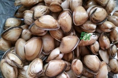 ​海瓜子多少钱一斤？西湖捞起的海瓜子能吃吗