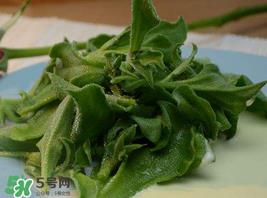 冰草多少钱一斤?非洲冰草多少钱一斤? 冰草多少钱一斤?非洲冰草多少钱一斤?