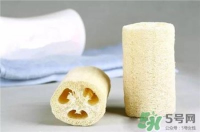 ​丝瓜络可以吃吗?丝瓜络的功效与作用