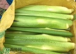 篙芭怎么处理?篙芭的处理方法 篙芭怎么处理?篙芭的处理方法