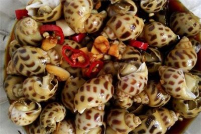 ​冰镇花螺有寄生虫吗 可能存在