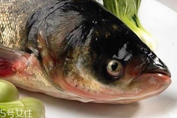 胖头鱼晚上可以钓吗 这两个时间段最好 胖头鱼晚上可以钓吗 这两个时间段最好
