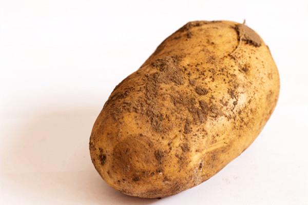 什么样的土豆不能吃 怎么看土豆有没有坏 什么样的土豆不能吃 怎么看土豆有没有坏