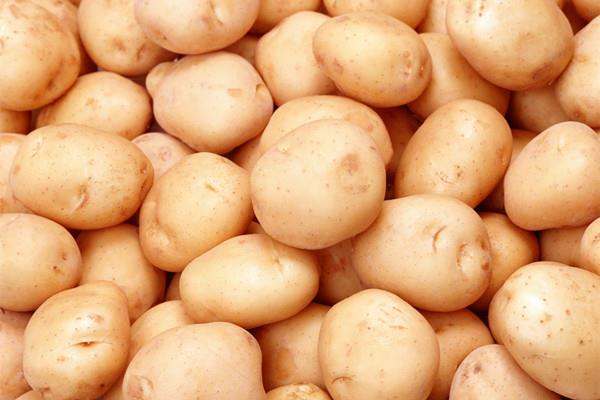 什么样的土豆不能吃 怎么看土豆有没有坏 什么样的土豆不能吃 怎么看土豆有没有坏