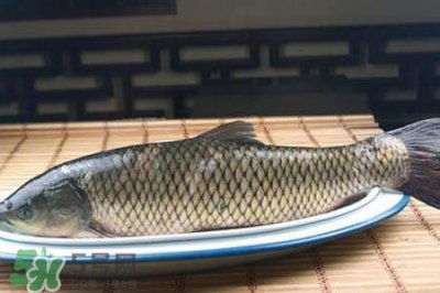 ​孕妇可以吃草鱼吗？怀孕了能吃草鱼吗？