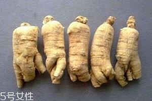 西洋参会回奶吗?不用担心这个问题 西洋参会回奶吗?不用担心这个问题