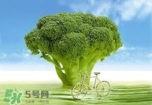 西兰花变黄了还能吃吗?西兰花为什么会变黄
