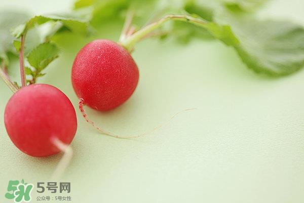萝卜根的营养价值 萝卜根的功效与作用 萝卜根的营养价值 萝卜根的功效与作用