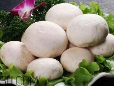 ​口蘑怎么保存 口蘑能放冰箱吗