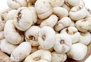 川贝母的食用禁忌 忌食油腻辛辣食物 川贝母的食用禁忌 忌食油腻辛辣食物