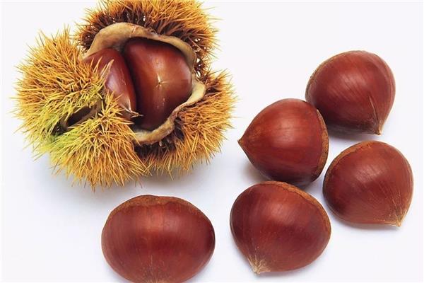 板栗怎么去皮和壳 板栗剥壳最快方法 板栗怎么去皮和壳 板栗剥壳最快方法
