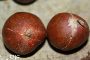 微波炉烤板栗要多久 微波炉烤板栗小技巧 微波炉烤板栗要多久 微波炉烤板栗小技巧