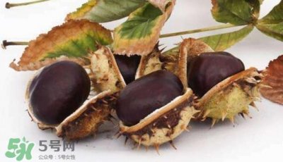 ​板栗壳里面的皮能吃吗？板栗壳有什么作用