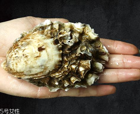 生蚝是蒸还是煮?生蚝蒸好吃还是煮好吃? 生蚝是蒸还是煮?生蚝蒸好吃还是煮好吃?
