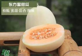 甜瓜可以带上飞机吗？坐飞机可以带香瓜吗？