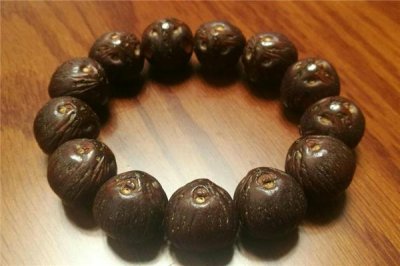 ​紫金鼠菩提怎么看好坏 选购技巧要记住