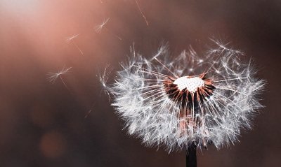 ​中南海紫光阁的前世今生