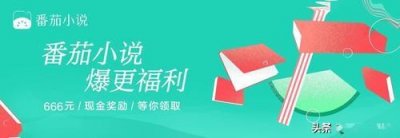 ​番茄小说运营官是干嘛的