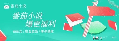 番茄小说运营官是干嘛的