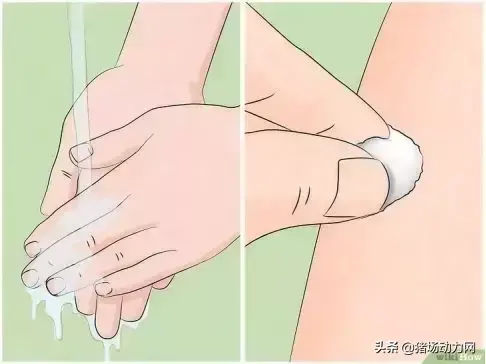 蜱虫最怕的克星是什么，教你如何彻底消灭蜱虫