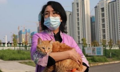 ​雷神山流浪小奶猫一年后成胖橘！名字更霸气：雷神喵