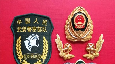 ​武警雪豹突击队升为旅级支队，为何要转隶第二机动总队，移防广州