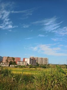 ​婚姻是女人的坟墓（婚姻真的是女人的坟墓吗）