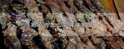 ​狍子肉怎么去腥味彻底
