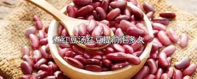 ​煮红豆汤红豆提前泡多久