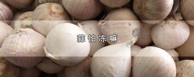 ​干蒜怕冻么 大蒜怕冻吗会不会冻坏