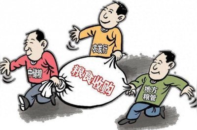 ​一文读懂什么叫“谷贱伤农”