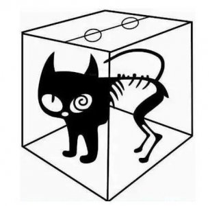 ​当感情遇上薛定谔的猫：选与不选，都很无奈