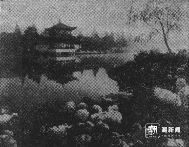 ​时隔40年，我们寻找“寻根文学”的根