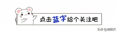 ​越过兴都库什山，历史的悲剧与文化的碰撞交织着印度的命运