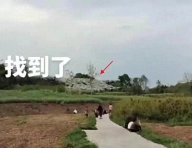 ​四川11岁女孩失踪1天后遇害！凶手是38岁男子，知情人曝作案细节
