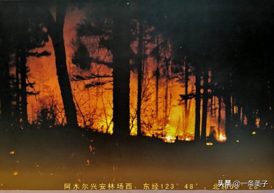 ​1987年漠河的大火：烧出漫天红霞，也烧掉他的康氏