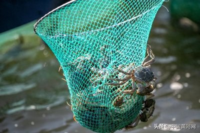 ​山西这些隐藏特产你知道几个