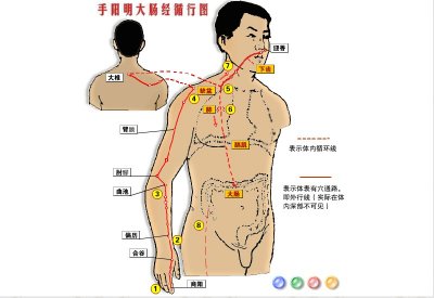 ​合谷的准确位置图和作用 人体自带的“药箱” 神奇的合谷穴