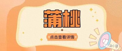 ​蒲桃：铃铛果~