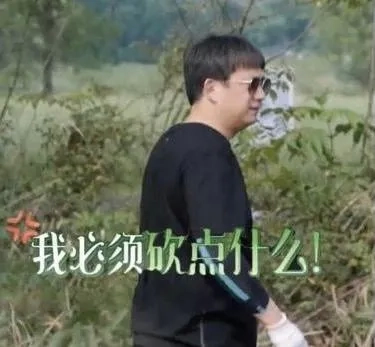 焉栩嘉塌房(焉栩嘉塌房)