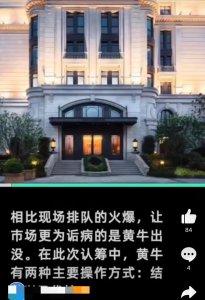 ​上海顶级豪宅中一套暴赚千万：小程序被挤爆、“亿万富豪烈日排队”