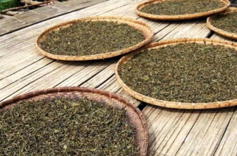 茶叶的制作过程（高品质茶叶制作八步法及细节）